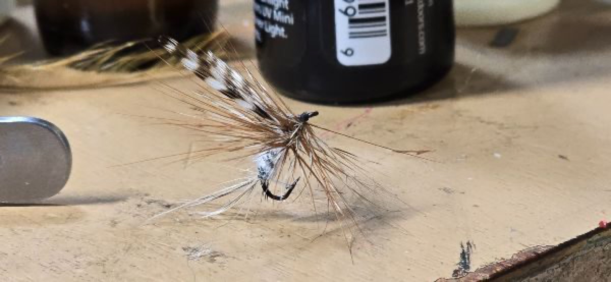 Adams fly pattern tied by Darrell Olson