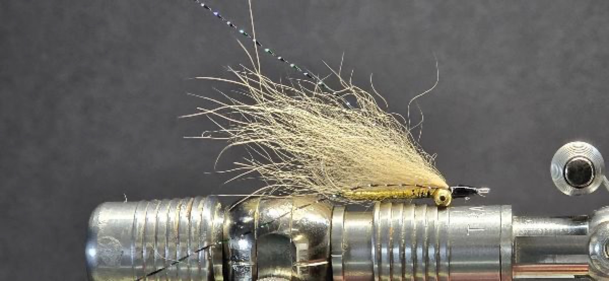 Golden Knight Crab fly pattern tied by Darrell Olson