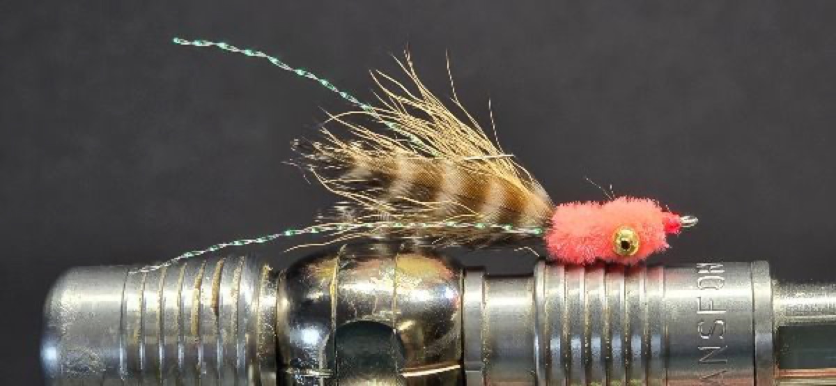 The Pink Puff fly pattern tied by Darrell Olson