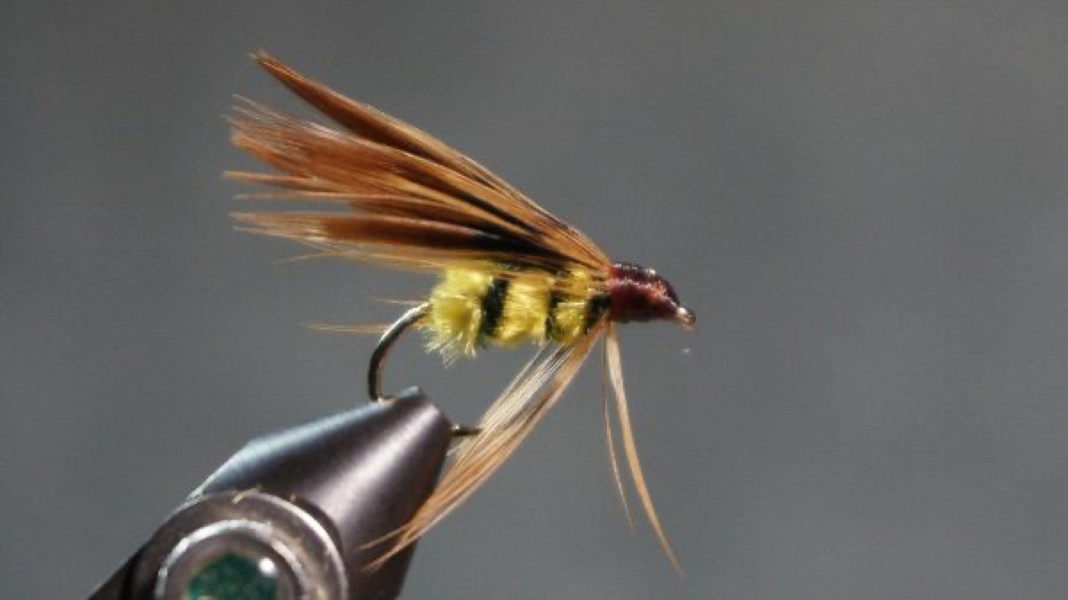 Bee (by C. F. Orvis) fly pattern tied by Christian Andrews