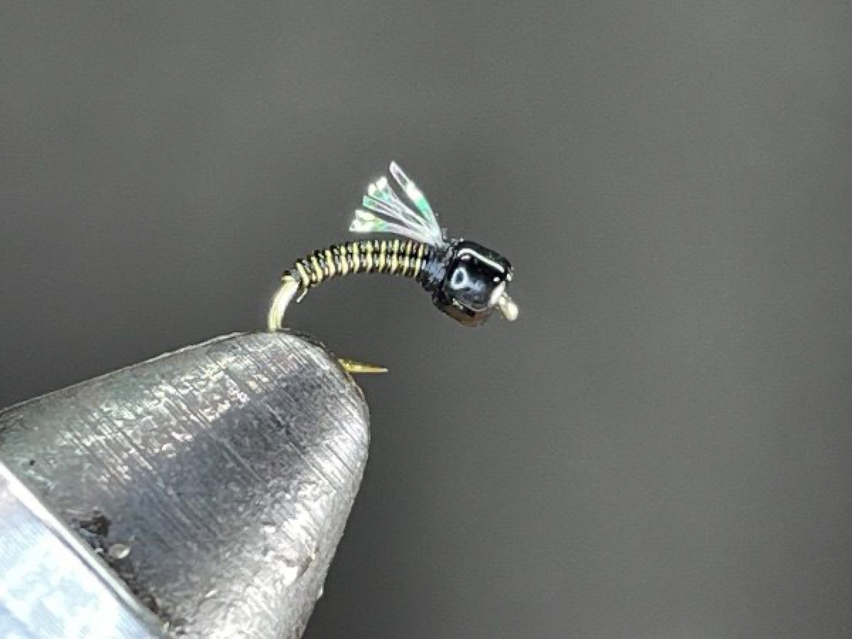 Olive Lace Midge (slight variant) fly pattern tied by Brent Jones