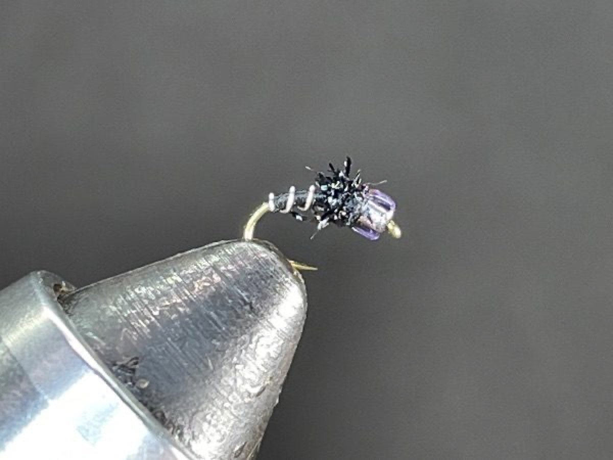 Mercury Zebra Midge (Variant) fly pattern tied by Brent Jones
