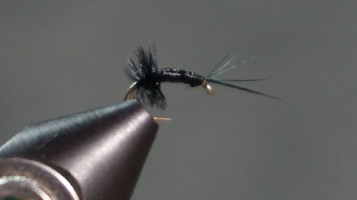 Black Midge Pupa fly pattern tied by Christian Andrews