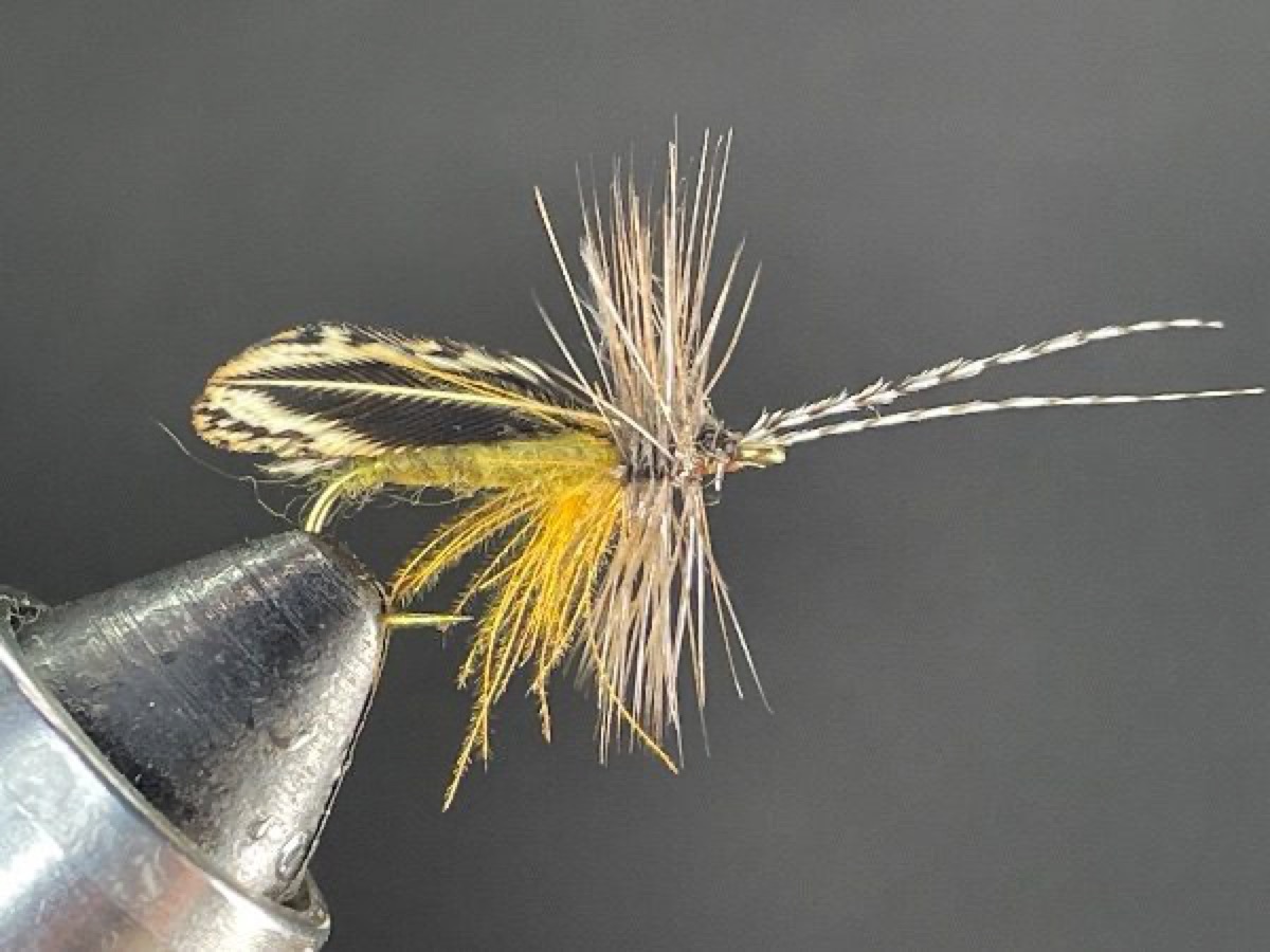Clark’s Caddis (variant) fly pattern tied by Brent Jones