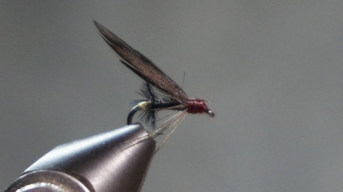 Black Ant fly pattern tied by Christian Andrews