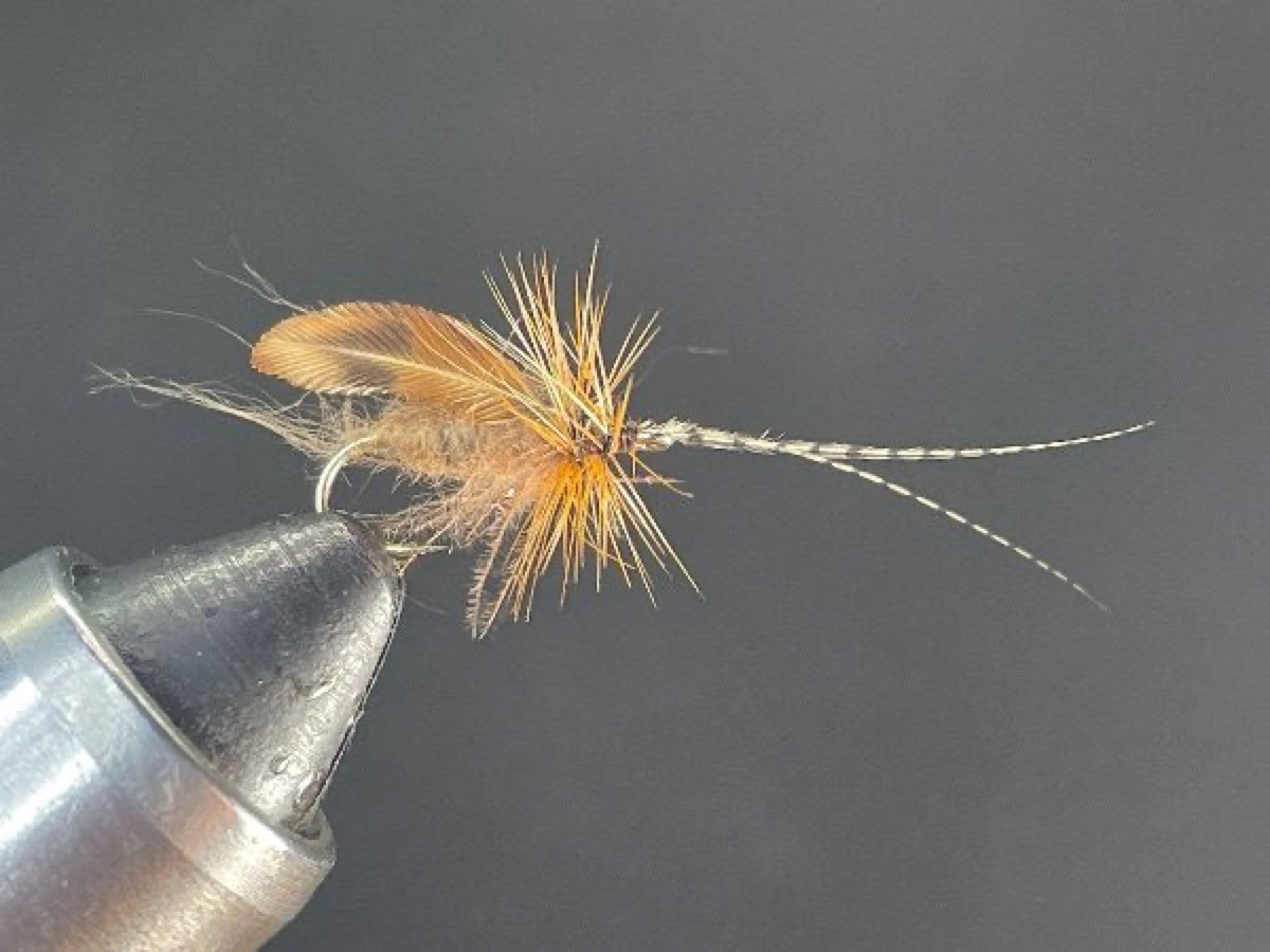 Clark’s Caddis (variant) fly pattern tied by Brent Jones