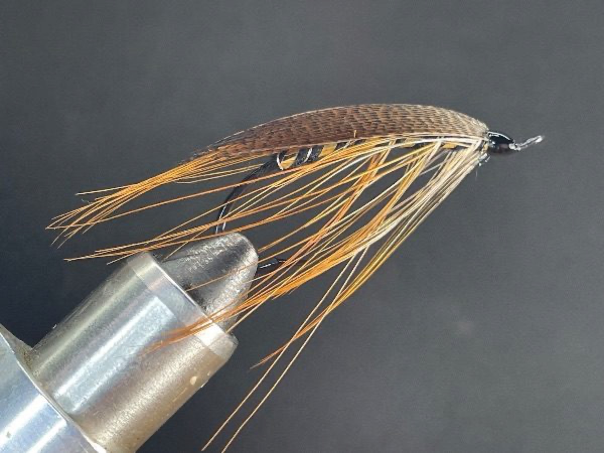Gold Speal fly pattern tied by Brent Jones