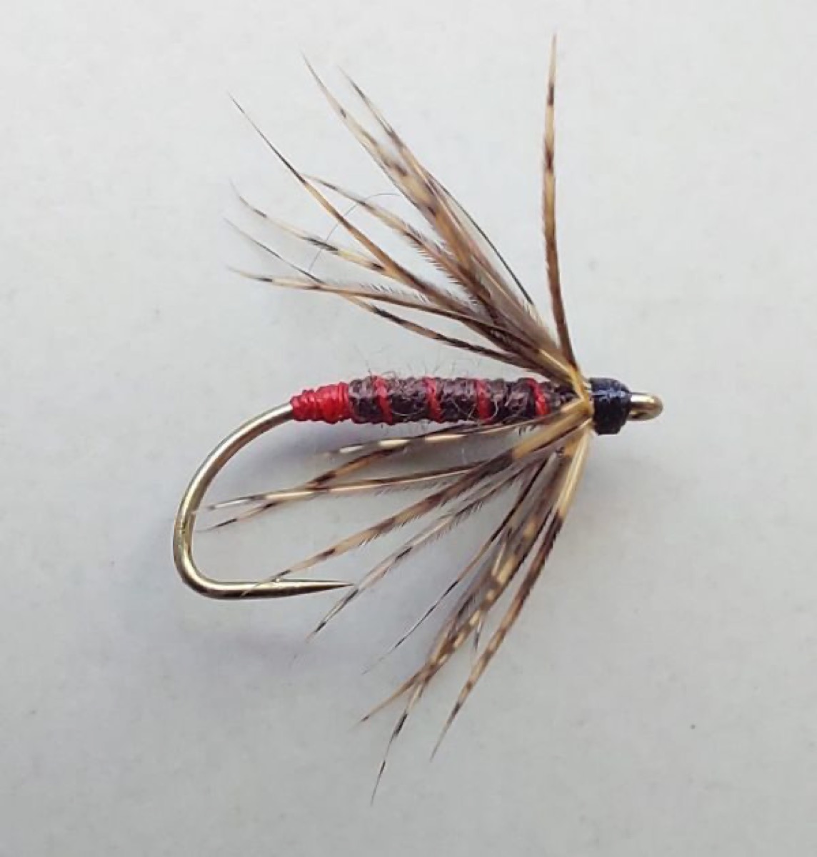 WF172 fly pattern tied by Marten Staal
