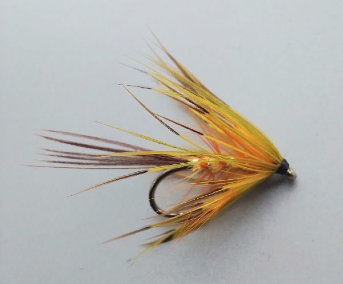 WF159 fly pattern tied by Marten Staal