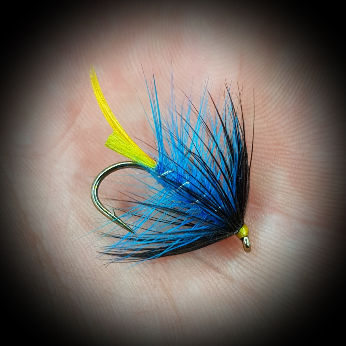 The Donegal blue bumble fly pattern tied by John Moore