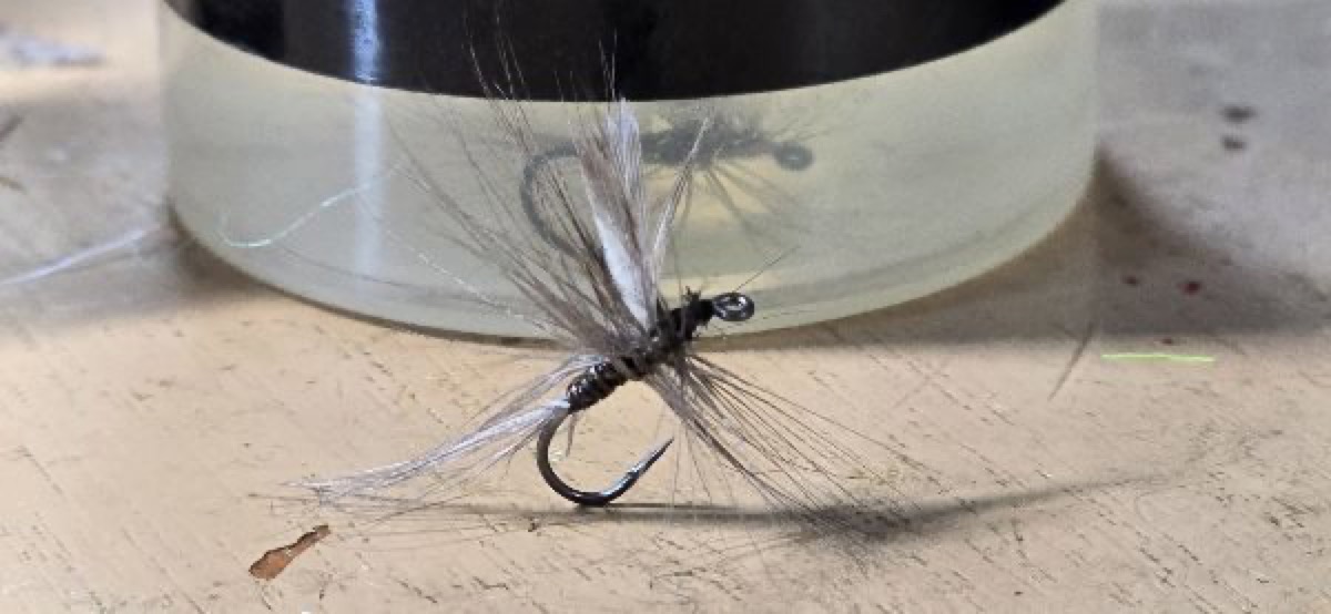 Black Quill fly pattern tied by Darrell Olson