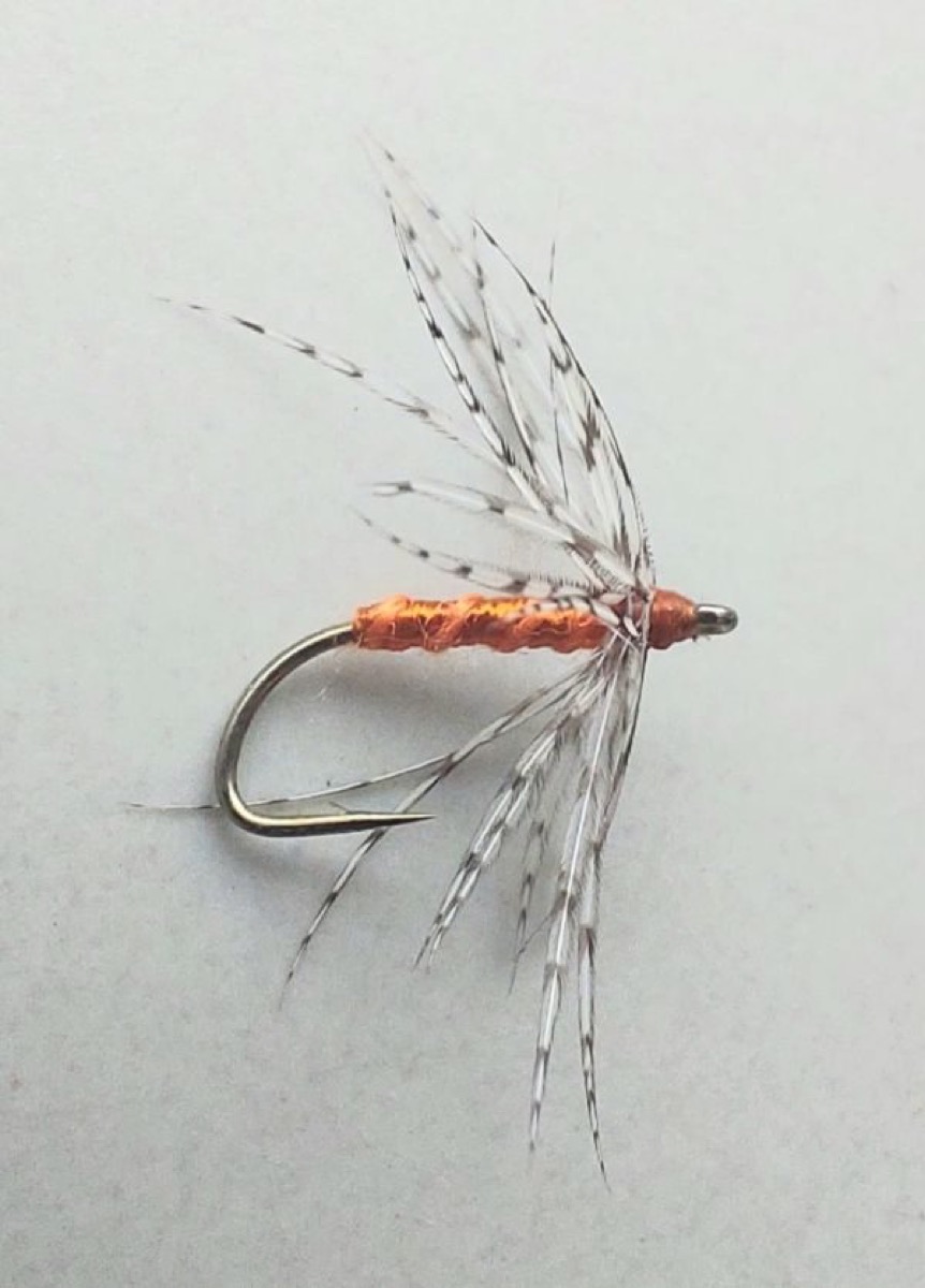 WF154 partridge and orange fly pattern tied by Marten Staal
