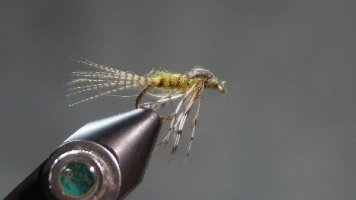 Blue-wing Olive Nymph fly pattern tied by Christian Andrews