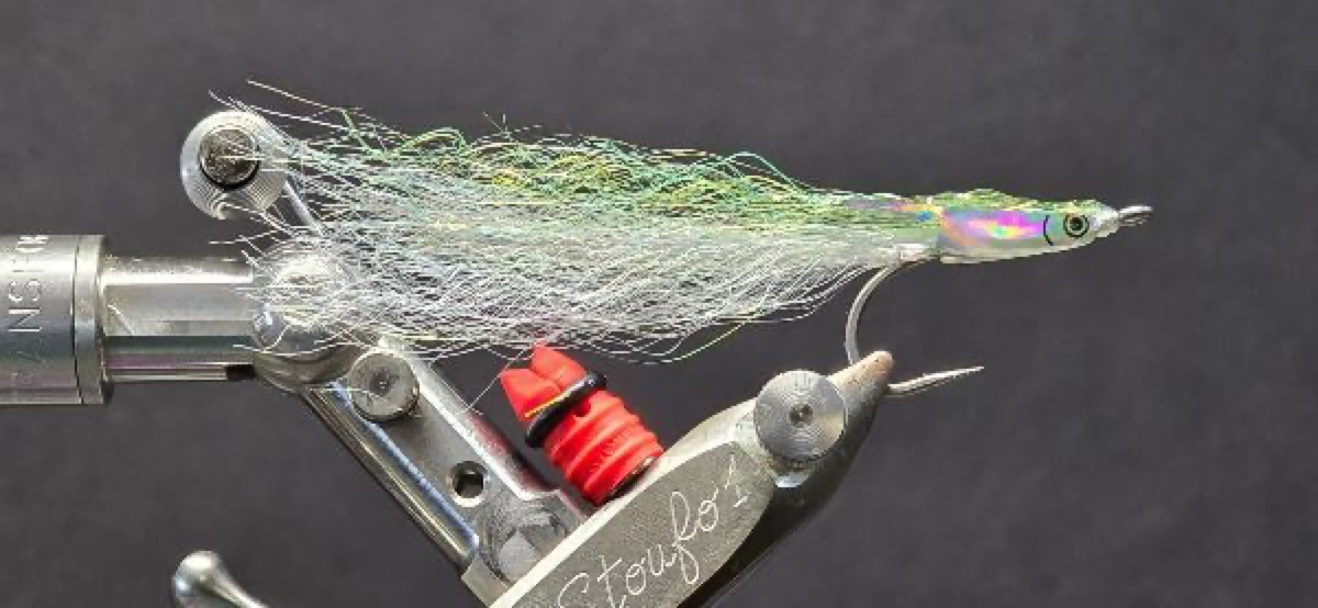 Silverside Surf Candy fly pattern tied by Darrell Olson