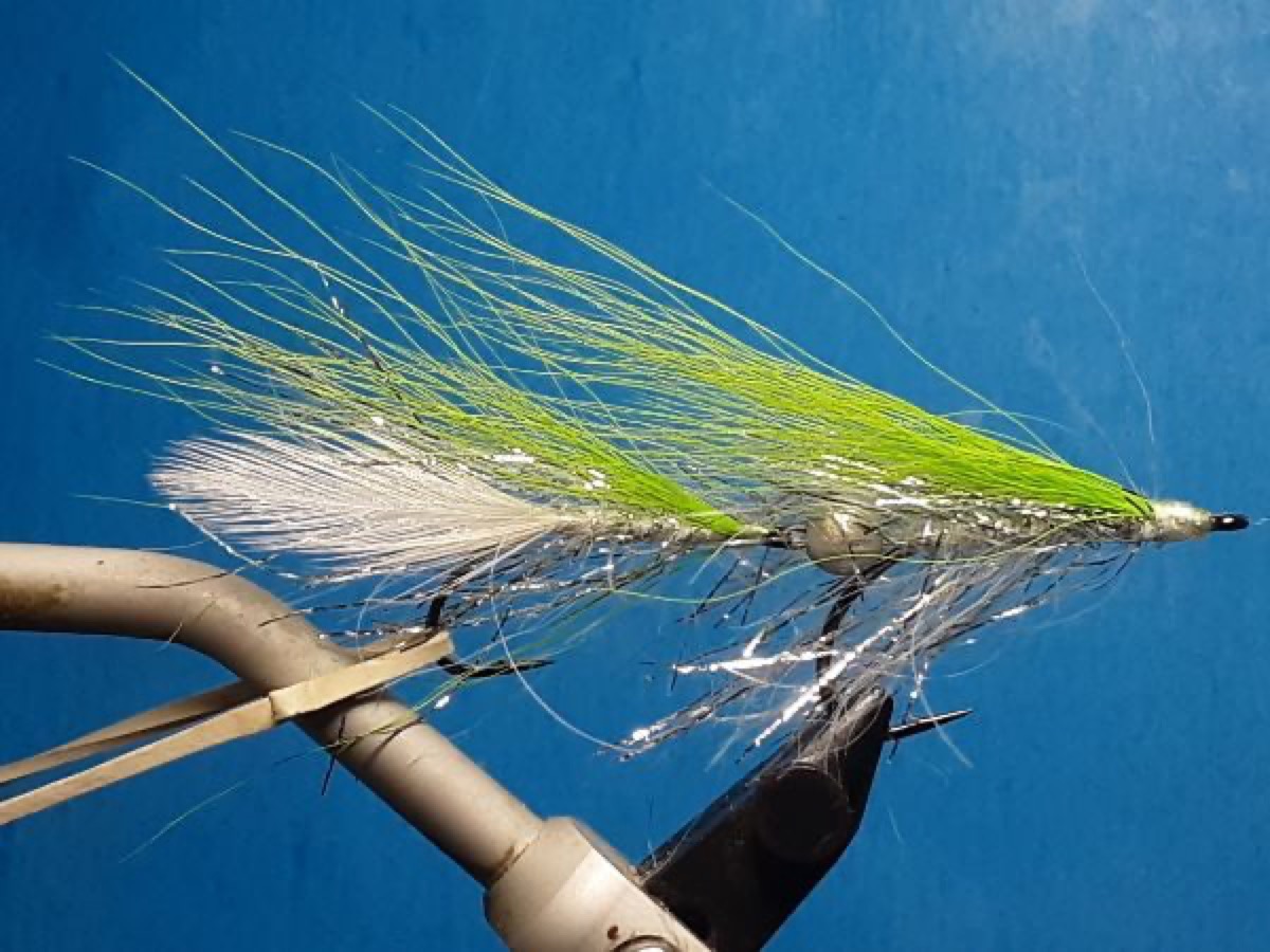 Polar double deceiver fly pattern tied by Al Agelwei