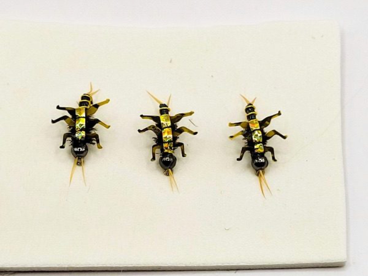 PGH Yinzer Stone fly pattern tied by Kurt Shaffer