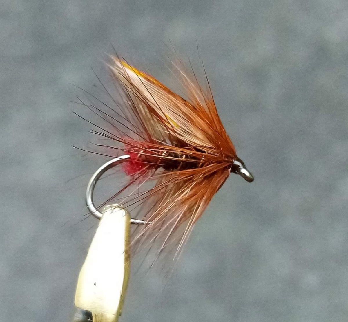 Red arse green Peter fly pattern tied by John Moore