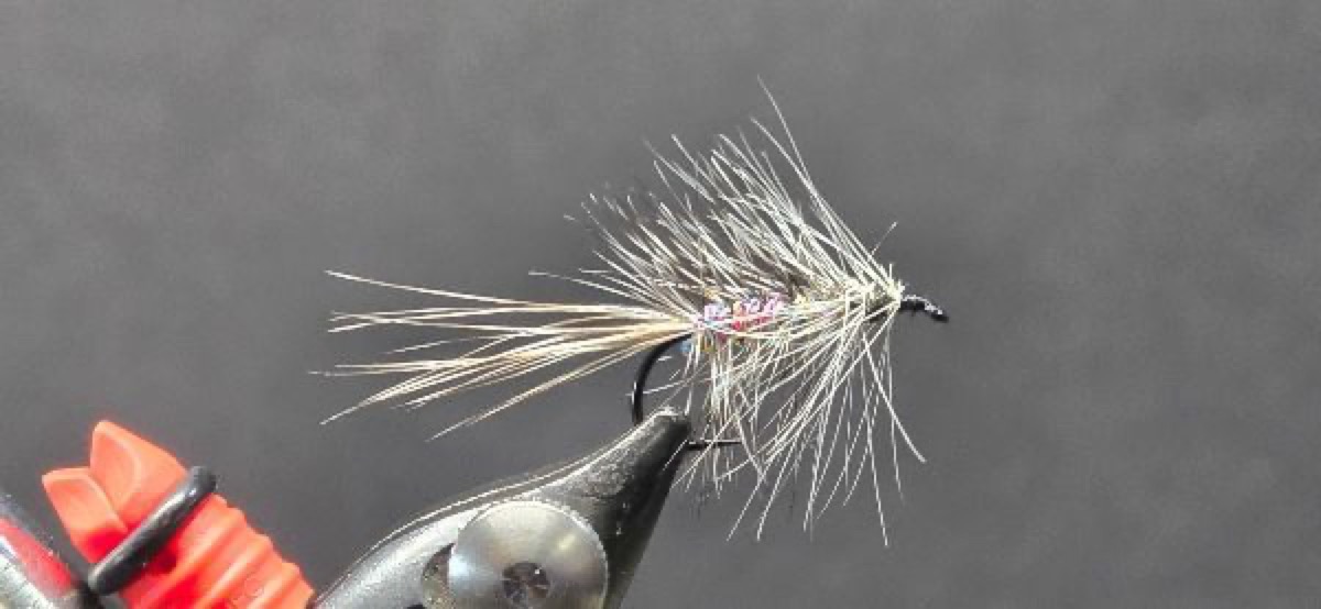 Bi-Visible fly pattern tied by Darrell Olson