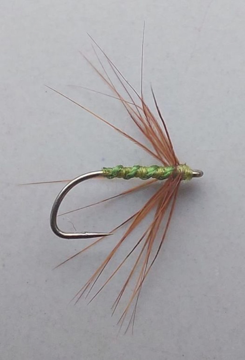 WF175 fly pattern tied by Marten Staal