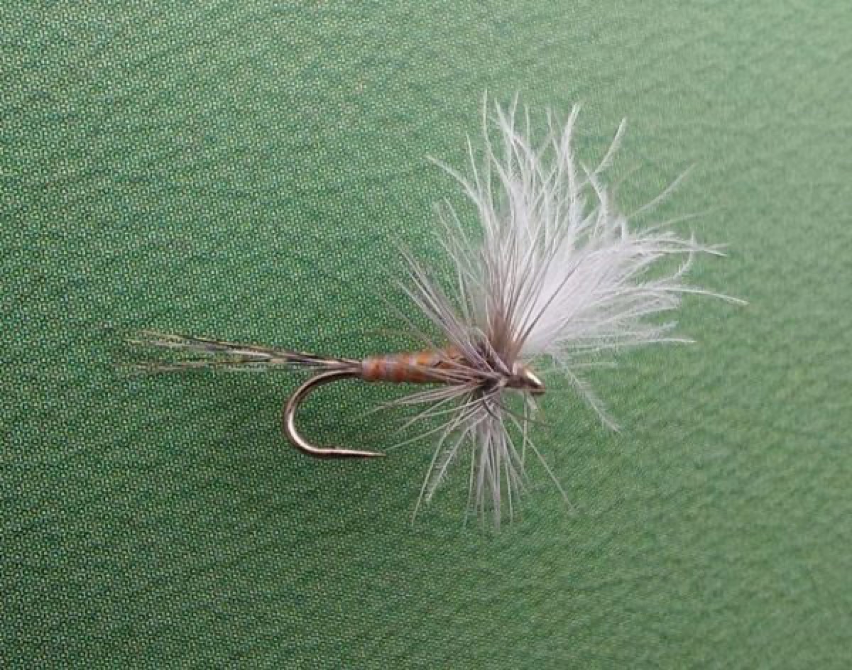 DF32 fly pattern tied by Marten Staal