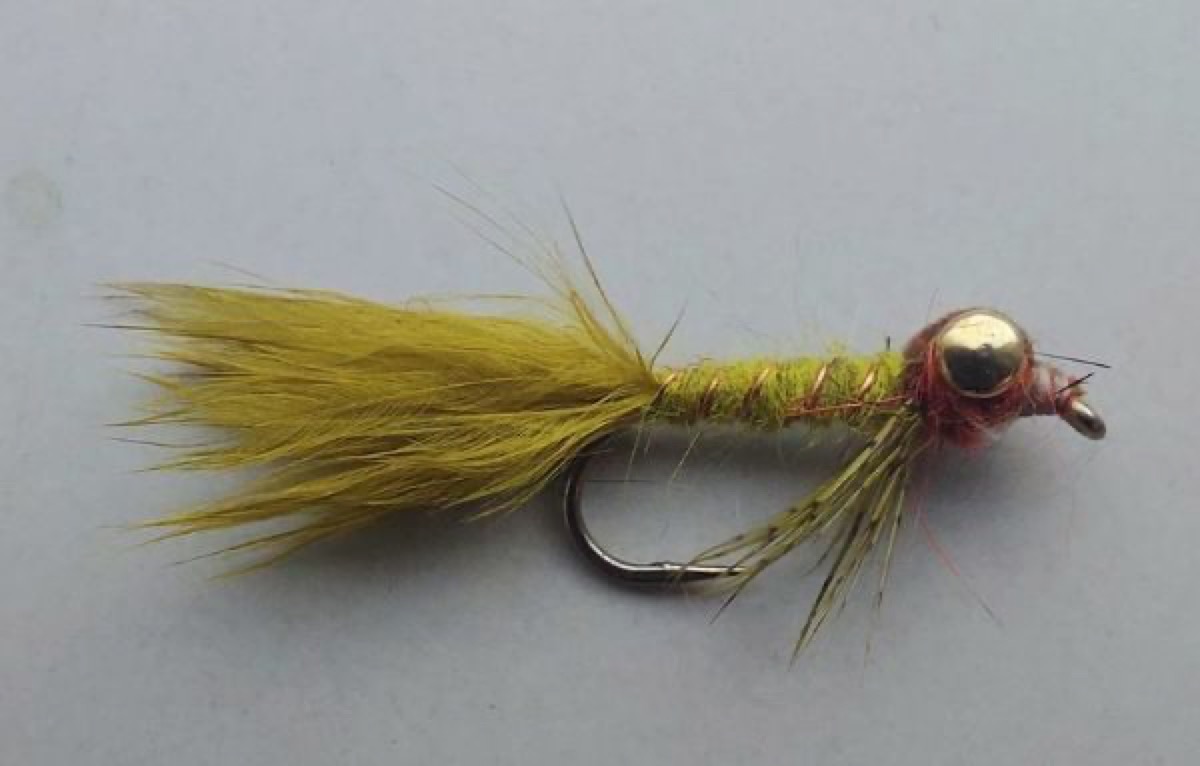 N59 damsel nymph fly pattern tied by Marten Staal