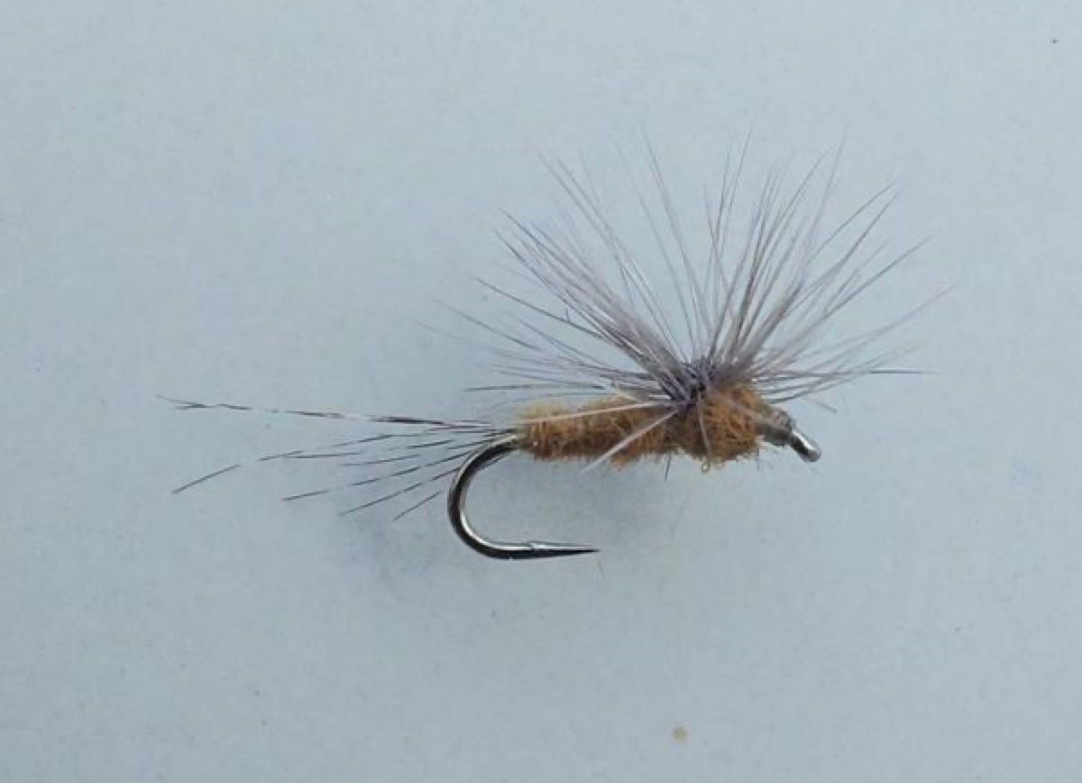 DF31 fly pattern tied by Marten Staal