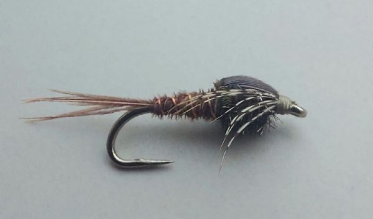 N58 pheasant tail fly pattern tied by Marten Staal