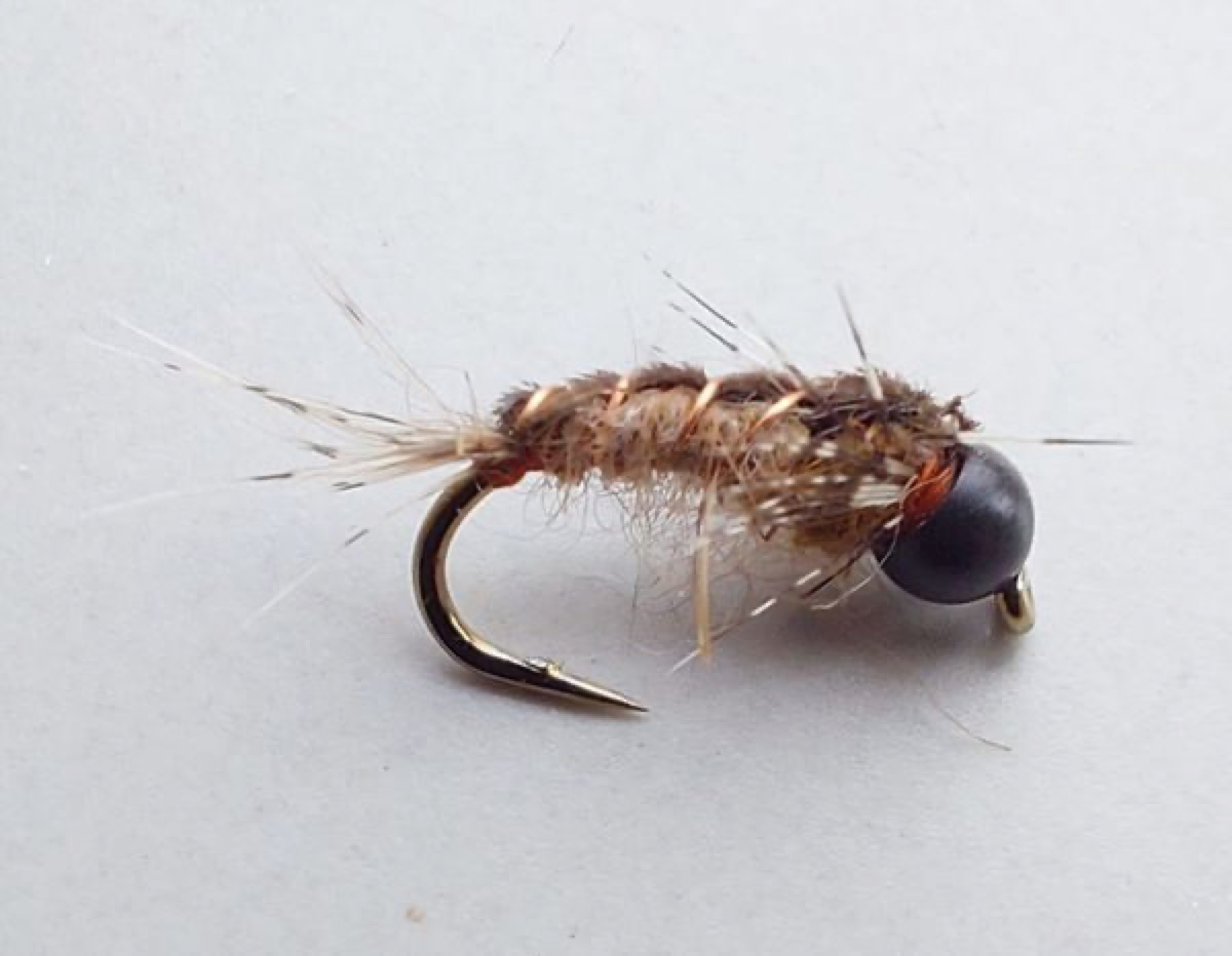N56 fly pattern tied by Marten Staal