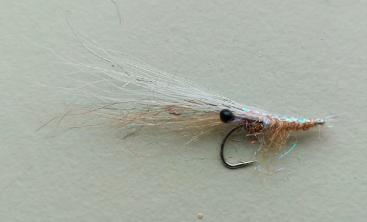 STF16 shrimp pattern fly pattern tied by Marten Staal