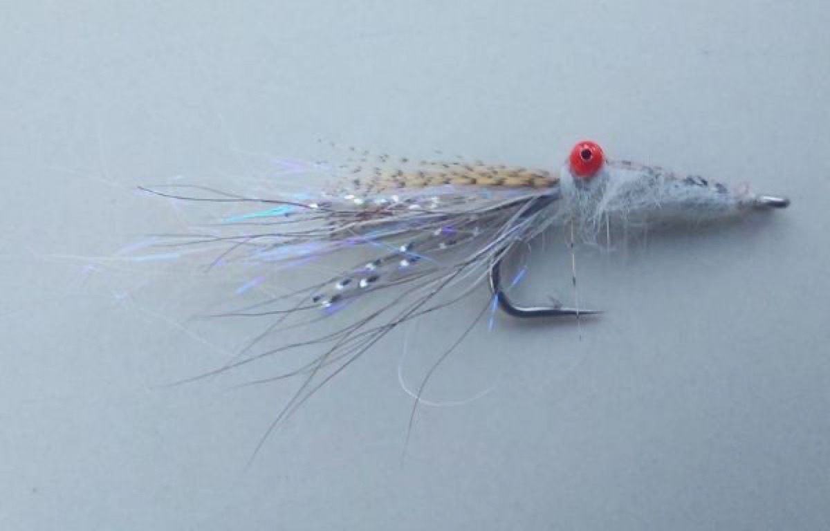 STF15 shrimp fly pattern tied by Marten Staal