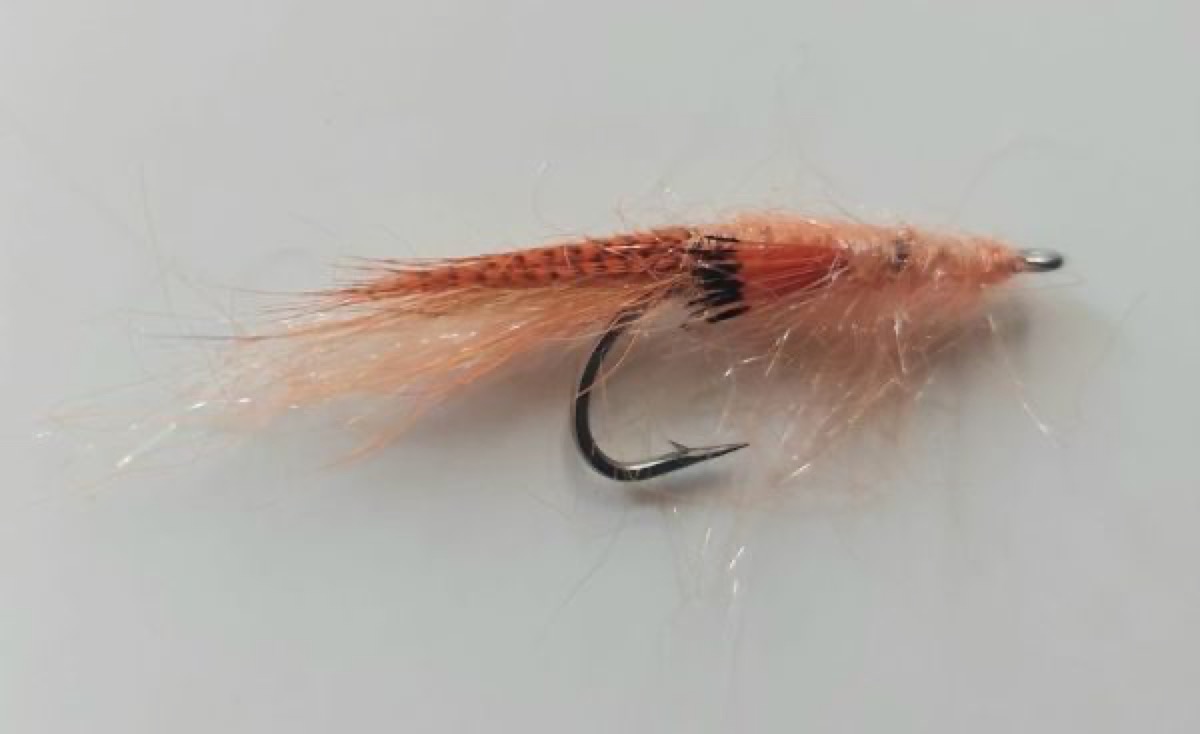 STF14 shrimp fly pattern tied by Marten Staal