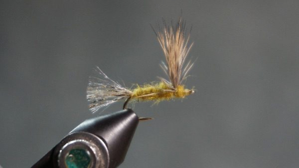Sparkle Dun fly pattern tied by Christian Andrews