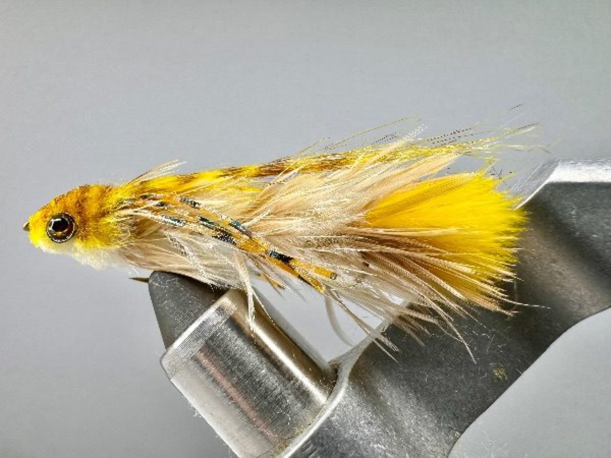 Charlie Craven's Baby Gonga fly pattern tied by Joe Glessner