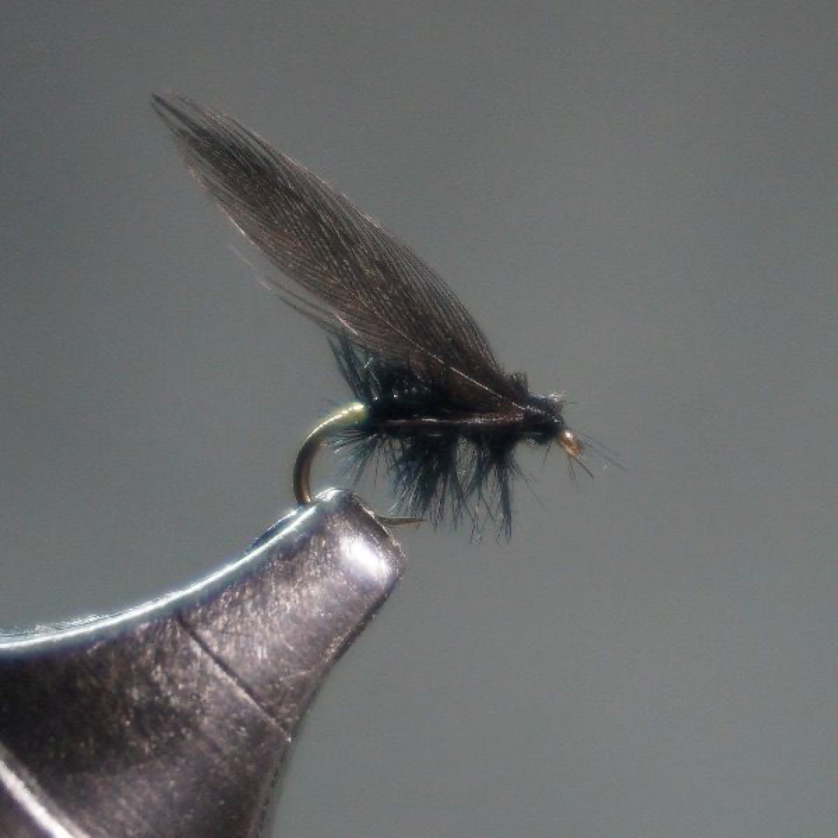 Black Gnat fly pattern tied by Christian Andrews