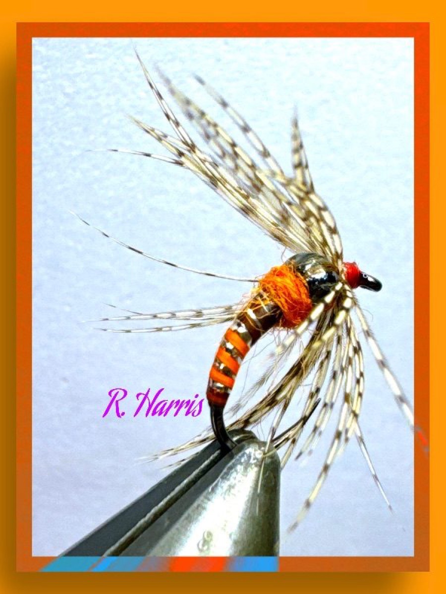 Peccary Holy Grail Caddis fly pattern tied by Richard Harris