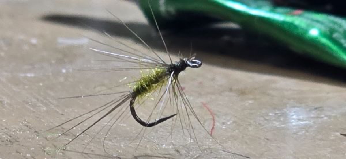 Blue Wing Olive (BWO) fly pattern tied by Darrell Olson