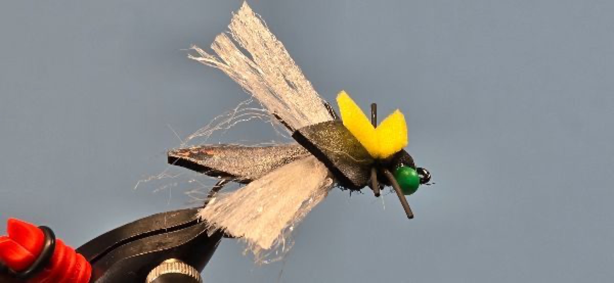 Northern Lights Cicada Fly fly pattern tied by Darrell Olson