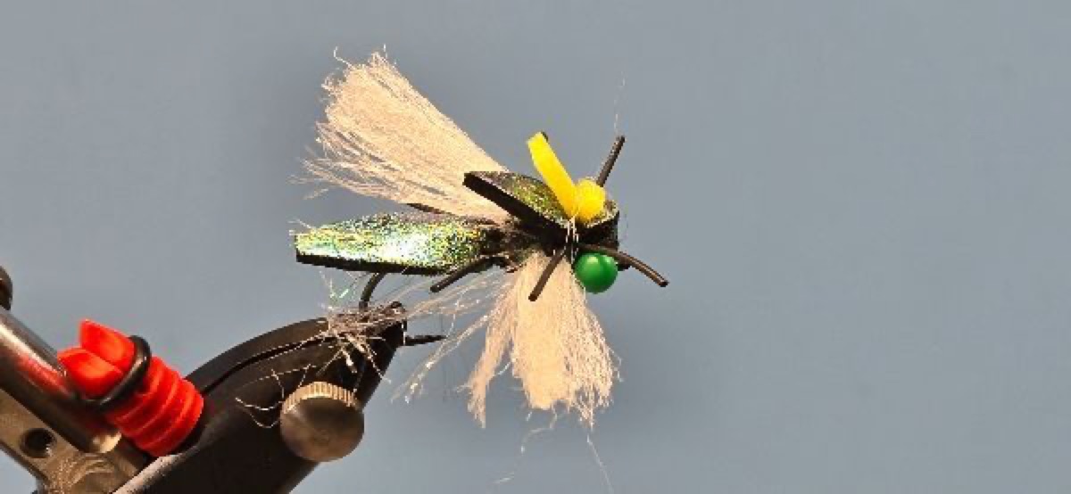 Peacock Annual Cicada fly pattern tied by Darrell Olson
