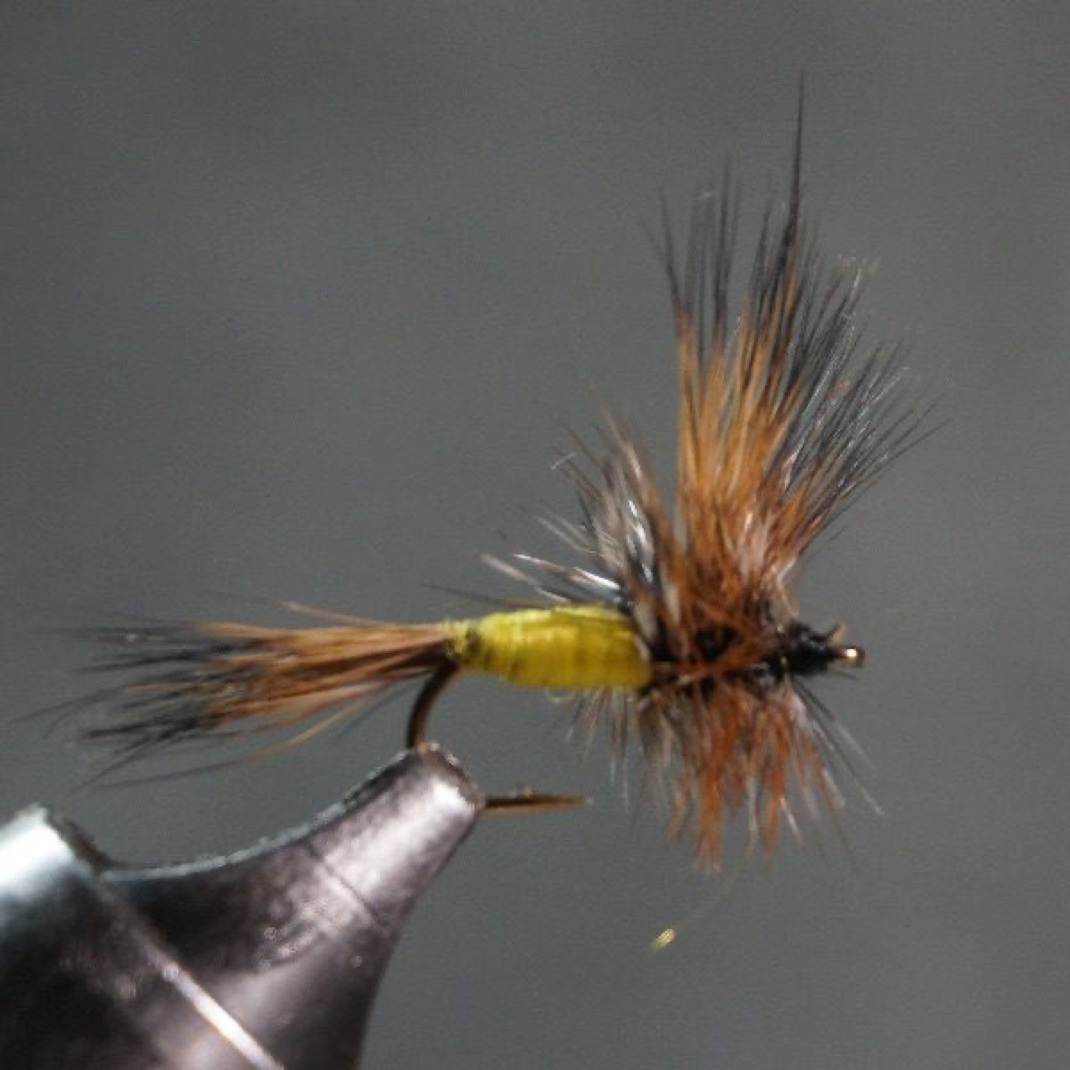 Grizzly Wulff fly pattern tied by Christian Andrews