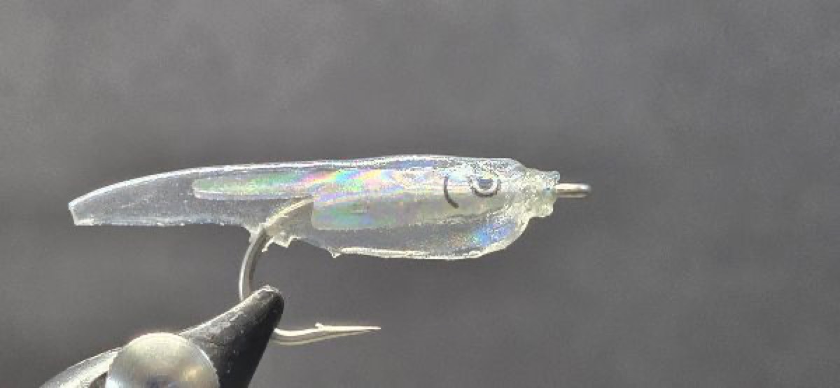 A Snot Fly fly pattern tied by Darrell Olson