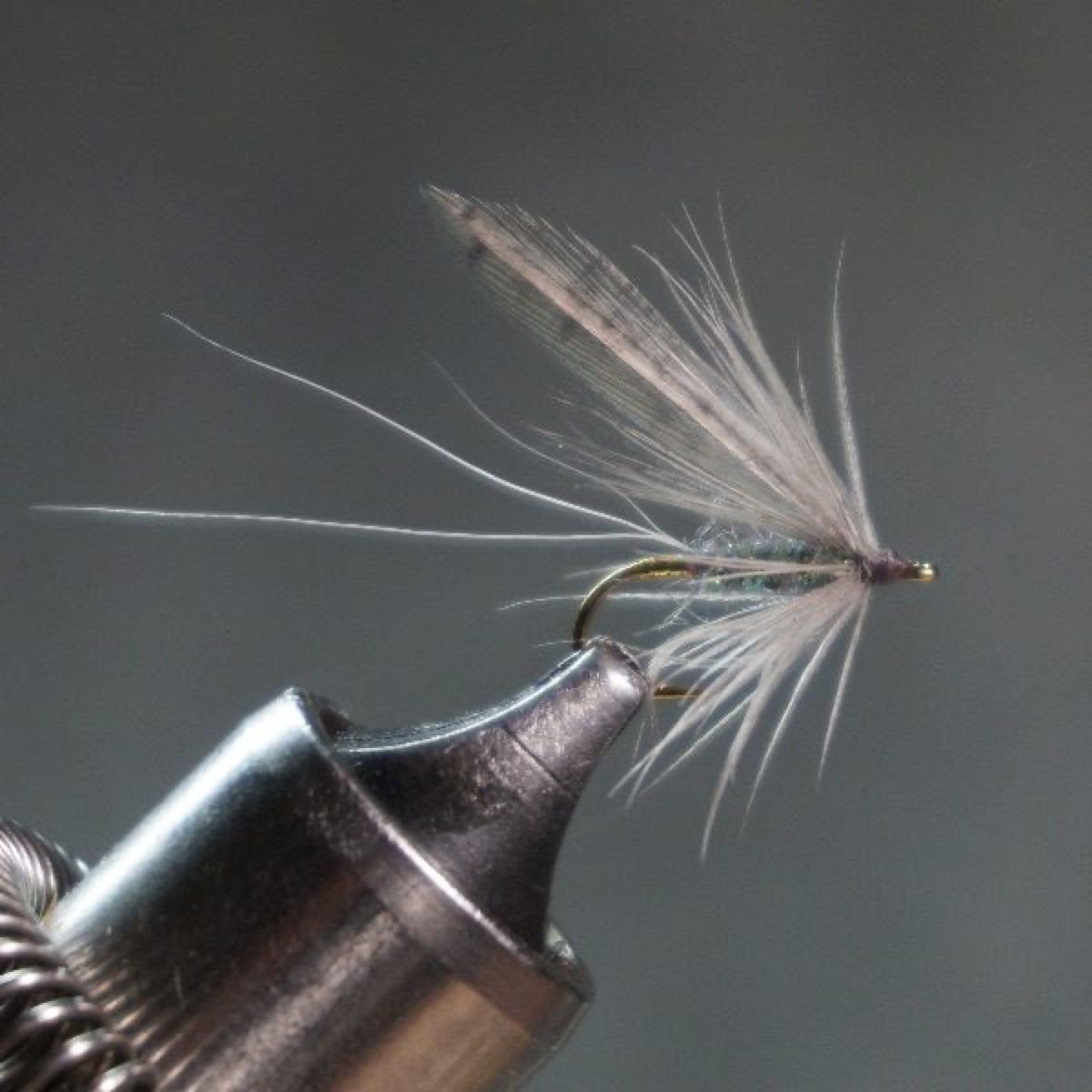 Blue Dun fly pattern tied by Christian Andrews