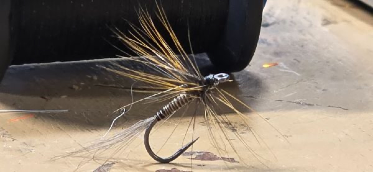 Quill Gordan fly pattern tied by Darrell Olson