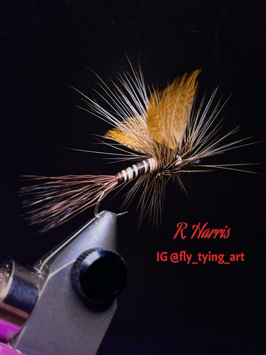 Mayfly Dun fly pattern tied by Richard Harris