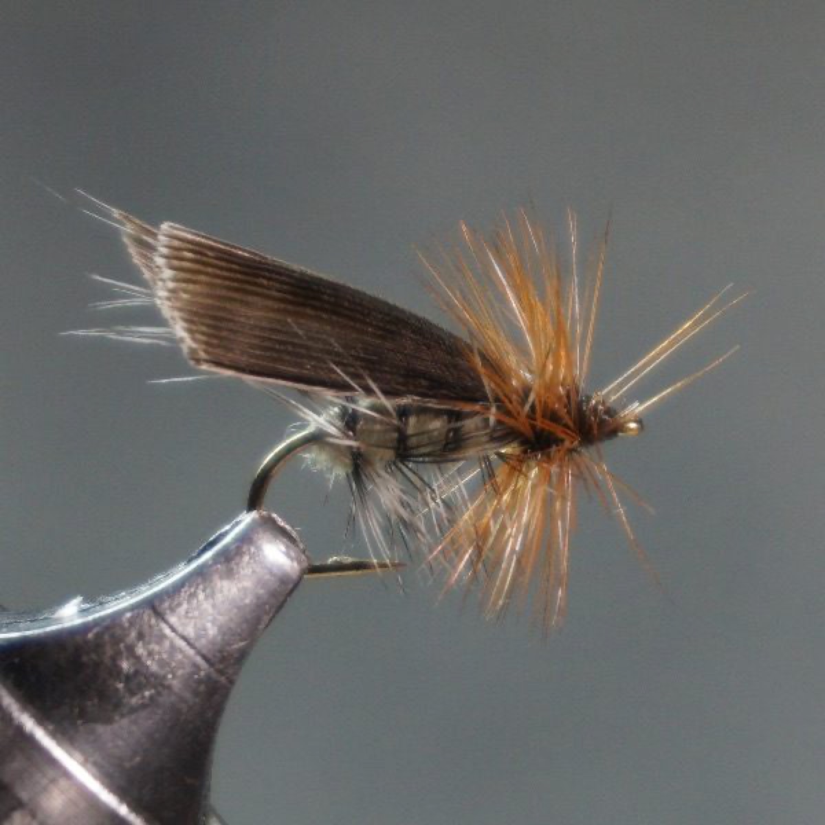 Henryville Special fly pattern tied by Christian Andrews