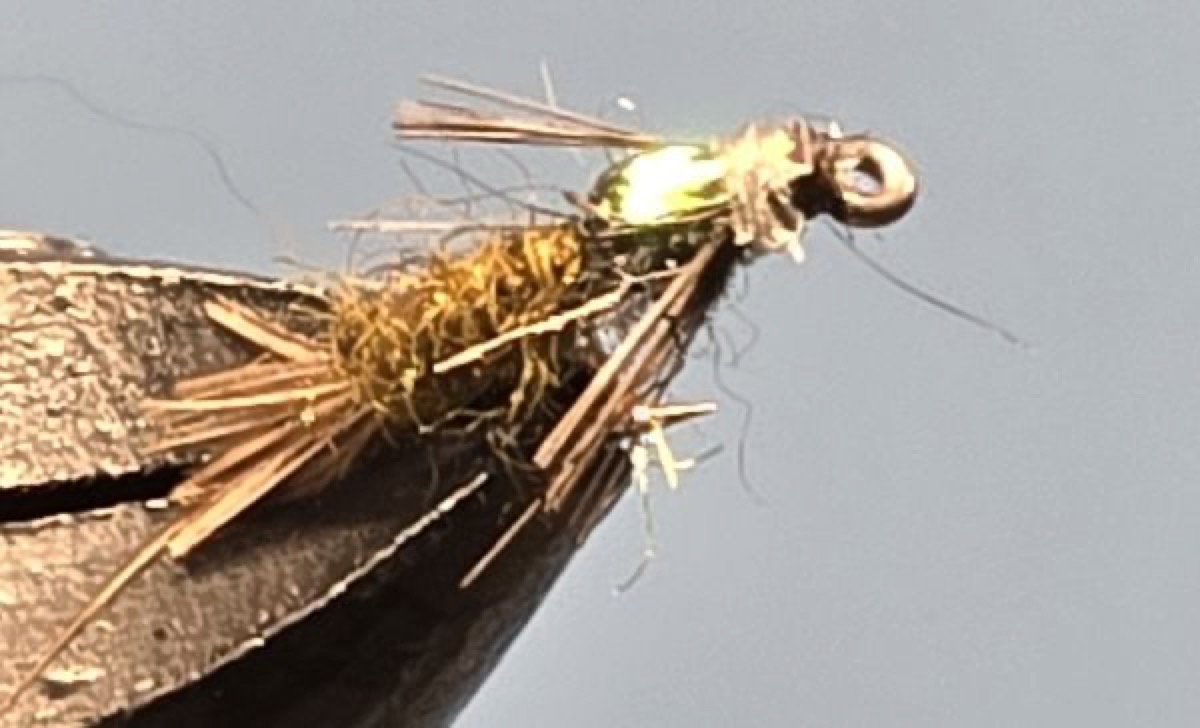 Barr Emerger fly pattern tied by Darrell Olson