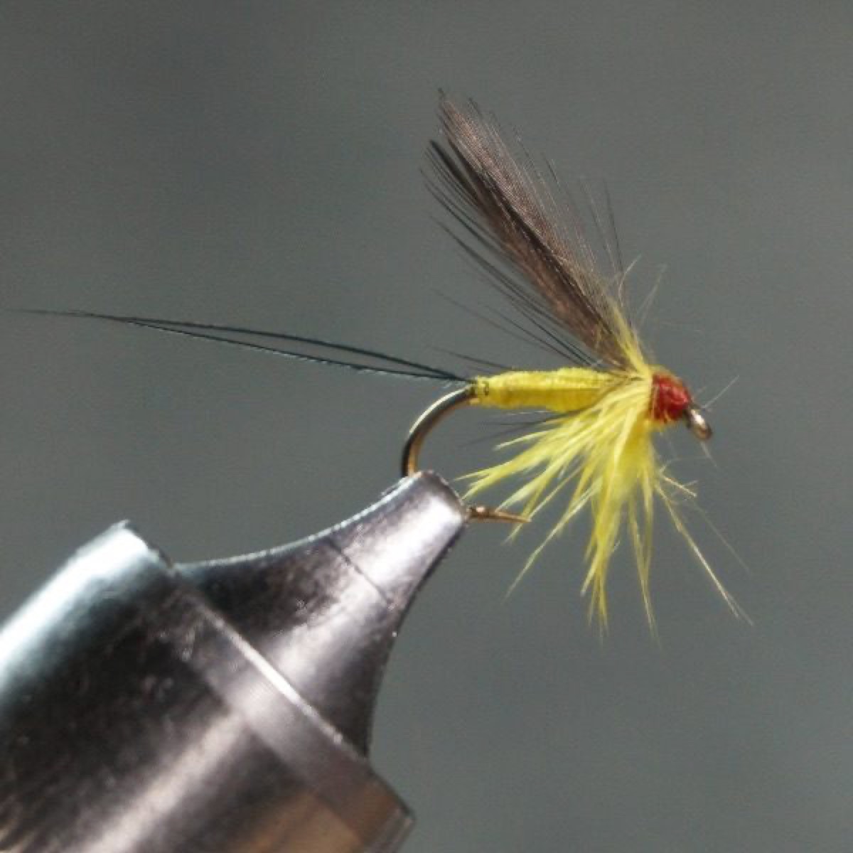 Bright Fox fly pattern tied by Christian Andrews