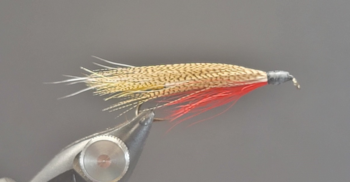 Harris Special Streamer fly pattern tied by Darrell Olson