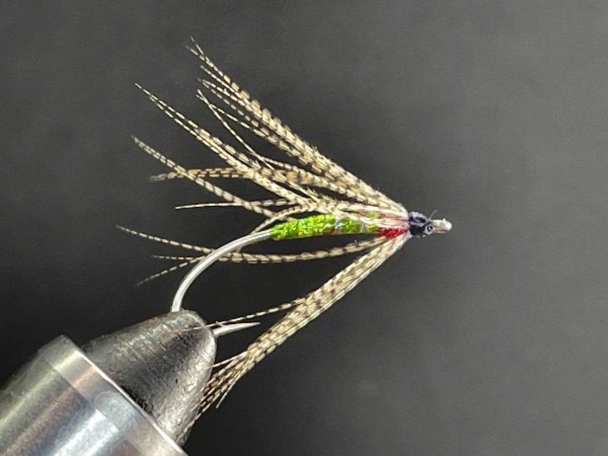 Wood Duck Spider Minnow, Green fly pattern tied by Brent Jones