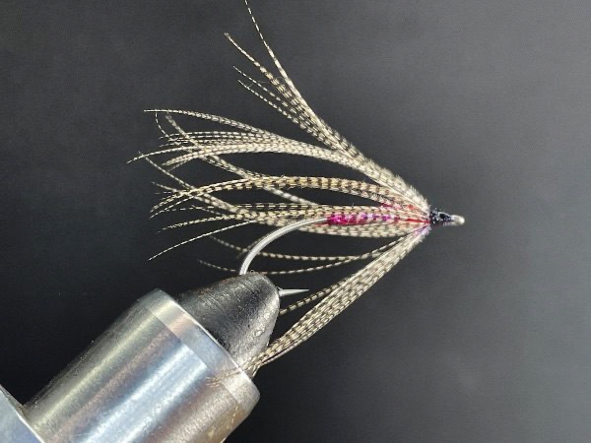 Wood Duck Spider Minnow fly pattern tied by Brent Jones