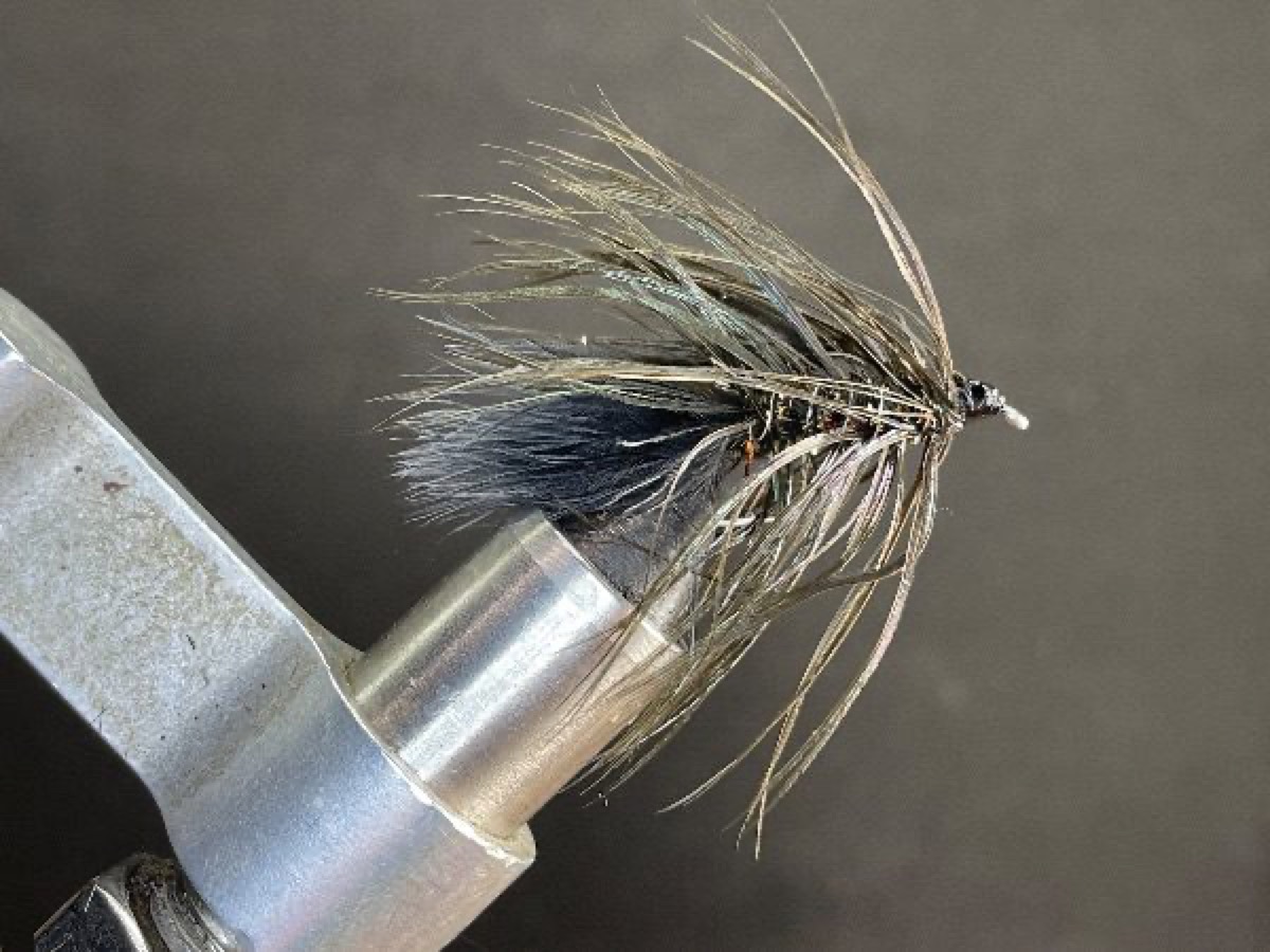 Salmon Bugger,Black fly pattern tied by Brent Jones